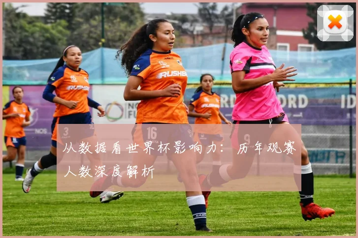 从数据看世界杯影响力：历年观赛人数深度解析