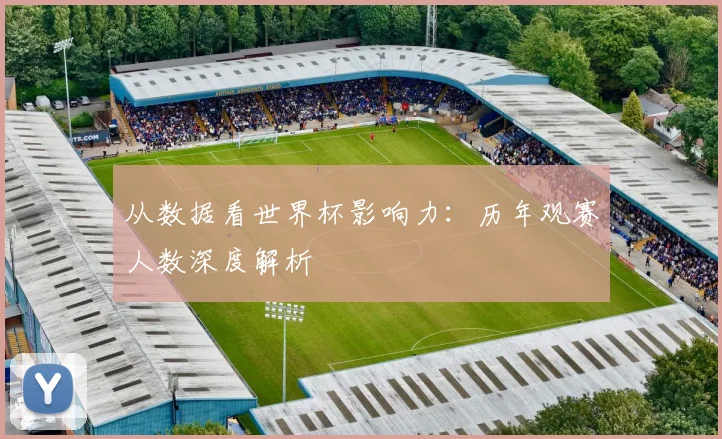 从数据看世界杯影响力：历年观赛人数深度解析